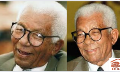 Walter Sisulu Biography