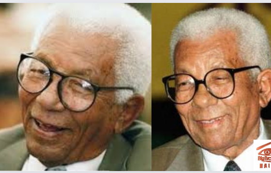 Walter Sisulu Biography